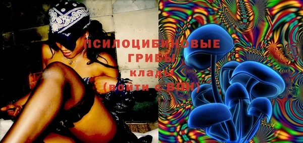 МДМА Новозыбков
