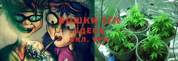 соль ск Новодвинск
