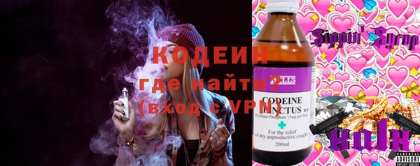 соль ск Новодвинск