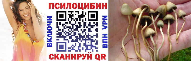Галлюциногенные грибы GOLDEN TEACHER  Дербент 
